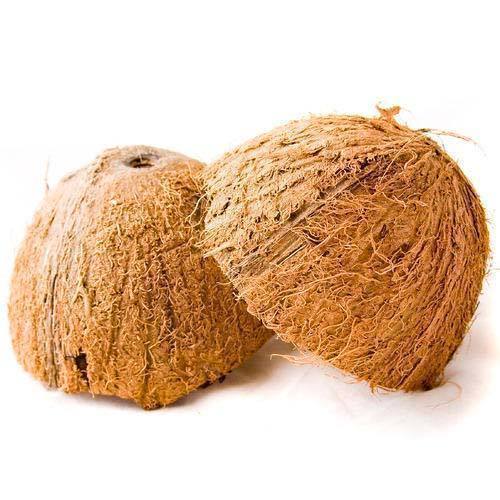 Coconut Shell Raw (Bulk)